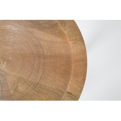 Table basse design Dendron