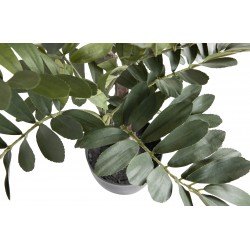 Plante Artificielle décorative Zamia 76cm - Woood